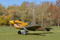 Curtiss P-40D Warhawk 1/72