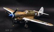 Curtiss P-40E Warhawk 1:32