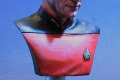 Jean-Luc Picard 200mm