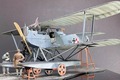 Hansa Brandenburg W.12 Wings