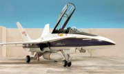 McDonnell Douglas F/A-18B Hornet 1:48