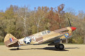  Curtiss P-40F Warhawk 1:72