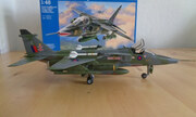 SEPECAT Jaguar GR.1A 1:48