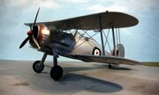 Gloster Gladiator 1:48