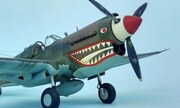 Curtiss P-40E Warhawk 1:32