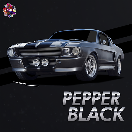 Boxart Ford Pepper Black Metallic (Stripe)  Splash Paints