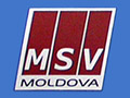 MSV Moldova Logo
