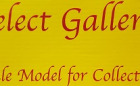 Scale Gallery Logo