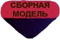 Team Model Logo
