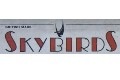 1:72 Tomahawk (Skybirds )