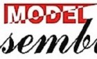 Model Assemblies Logo