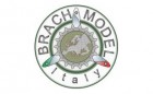 Brach Model Logo